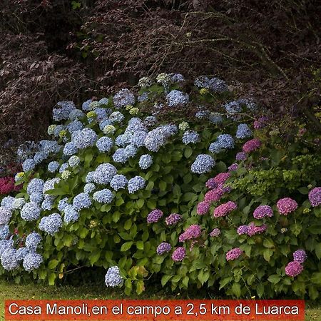 Casa Manoli Luarca Guest House Almuna Bagian luar foto