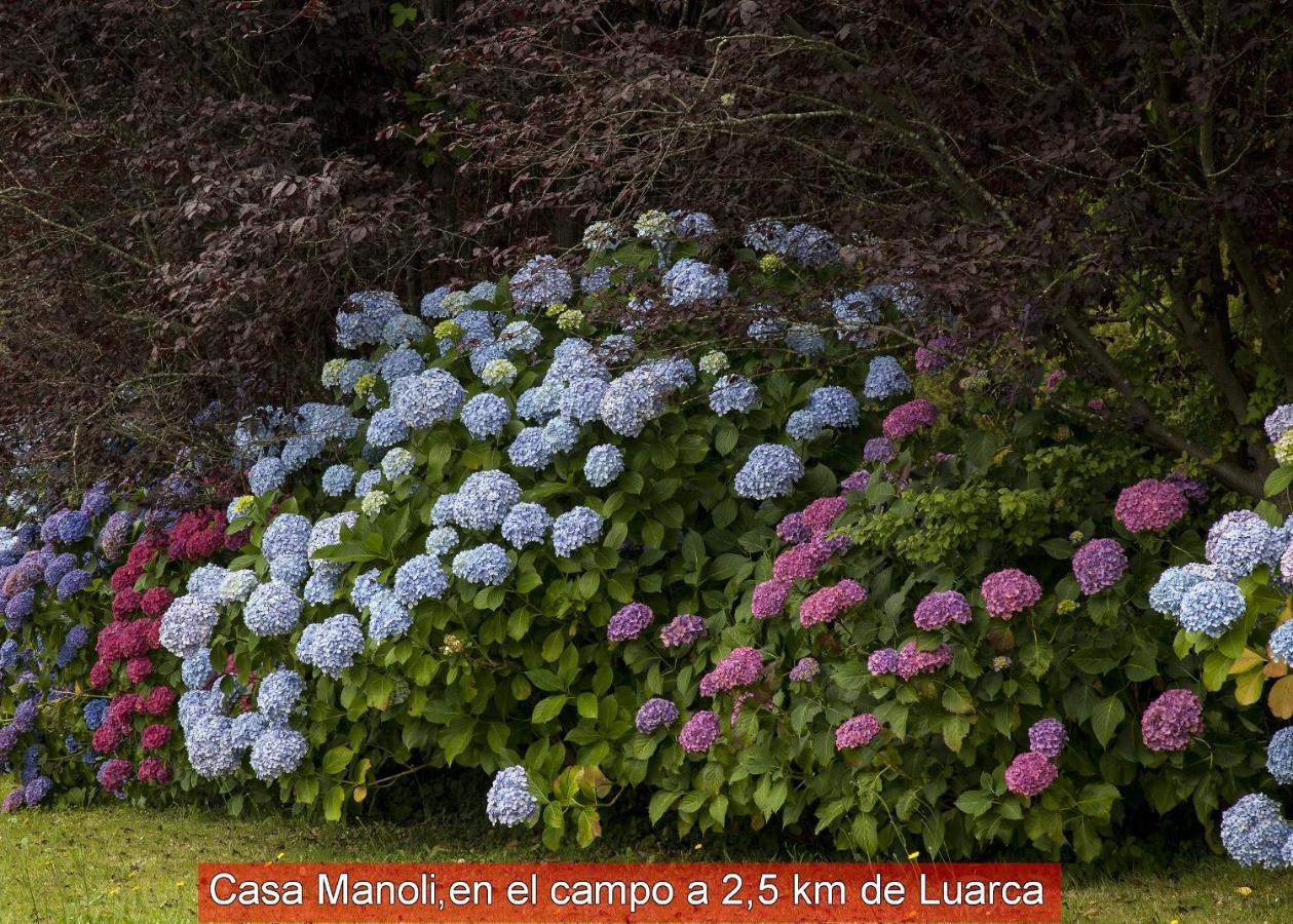 Casa Manoli Luarca Guest House Almuna Bagian luar foto